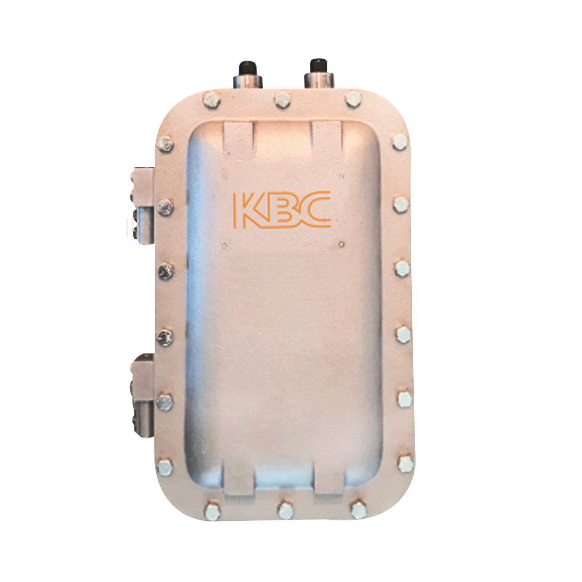 Soluzione wireless a prova di esplosione - WES3HTG-EXP-Cz